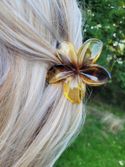 Pinces à Cheveux Fleurs